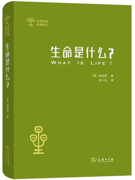 港寶是什麼|港宝是什么材料 港宝对鞋子有什么作用